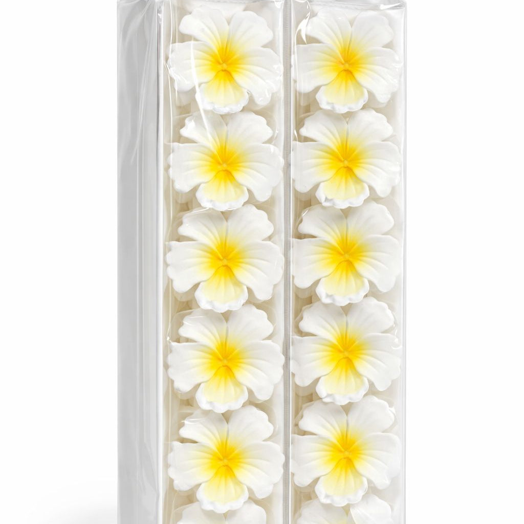(072) Flower Hawaiian Claw Clips (One Piece 10.Rs) PACK OF 12 - 120