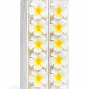(072) Flower Hawaiian Claw Clips (One Piece 10.Rs) PACK OF 12 - 120