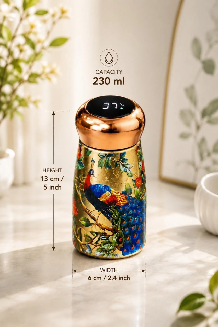 (B54) Stainless Steel Printed Insulated Flask 230 ML with LED Temperature Display
