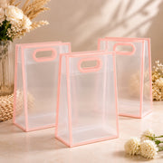 (BA-005)  (MOQ: 12 Pcs) Transparent Hamper Gift Bag – Multicolor Border Design